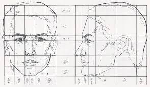 Brick can be made in multiple shapes and sizes, depending on the application. 20 Proportions Of The Face Ideas Face Drawing Face Proportions Drawings
