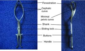 The most common forceps used for rotation. Kielland S Forceps Past Present And Future Fetal And Maternal Medicine Review Cambridge Core