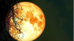 A Rare Blue Moon Will Light Up The Sky On Halloween East Idaho News
