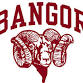 Brunswick Boys Varsity Basketball @ Bangor event image