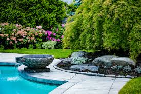 Market share of professional lawn care companies. Best Organic Natural Lawn Care Service Newton Wellesley