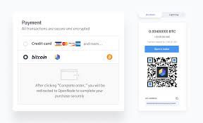 Payment processing encompasses the steps spenders and receivers perform to make and accept payments in exchange for products or services. Bitcoin Payment Processor Opennode