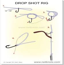This knot will lock your hook in place, upright so that your hook set is exa. Double Drop Shot Rig Shefalitayal