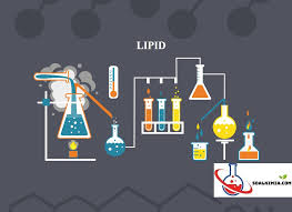 We did not find results for: 60 Soal Lipid Lemak Pilihan Ganda Dan Jawaban Pembahasan