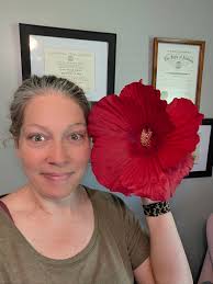 Tropical hibiscus with large blooms