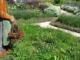 French Herb Garden Jardin D Herbes Aromatiques In Addition To The Familiar Rosemary Basil And Herb Garden Design Garden Landscaping Diy Edible Landscaping