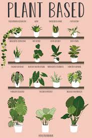 Pin On Plants