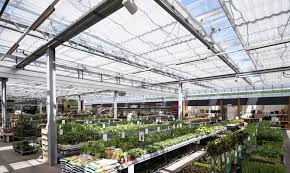 Check spelling or type a new query. Reference Projects Rabensteiner Das Glashaus