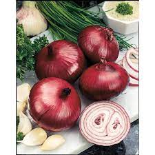 5.0 out of 5 stars 1 rating. Onion Red Baron Premier Seeds Direct