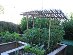 Hochbeet Mit Tomatendach Hochbeet Tomaten Garten Tomaten Dach