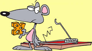 They constantly seek new and exciting experiences, but can become distracted and exhausted by staying on the go. El Pequeno Raton Indisciplinado Fabula De Animales Leyendas Cuentos Poemas