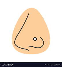 Pierced Nose Color Icon Nose Ring Piercing Isolated Vector Illustration Download A Free Preview Or High Quality Adobe Illustrator Nose Piercing Vector Icon