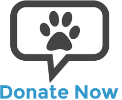 We are mobile veterinarians dedicated to end of life care for your pet, including euthanasia and veterinary hospice in toledo. Planned Pethood Inc Pet Owner Resources Low Cost Pet Care Resources