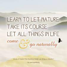 Jun Hong Lu Sur Twitter Learn To Let Nature Take Its Course Let All Things In Life Come And Go Naturally In This Way We Can Be Free From Afflictions Https T Co 7e0euoofxd
