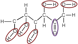 Functional Groups Biology For Majors I