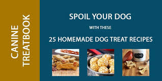 Facebook twitter instagram pinterest email. 25 Homemade Dog Treat Recipes Spoil Your Dog With Healthy Treats