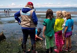 Your Guide To Exploring Seattle Area Beaches At Low Tide