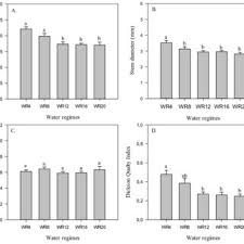 Image result for Syzygium komatiense