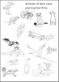 Animals Of Nani Cave This Delightful Coloring Book Is Designed With The Pre K To Kindergarteners In Mind Student Animals Coloring Pages Animal Coloring Pages