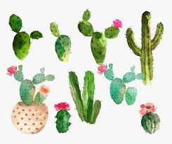***by purchasing and downloading this file, you are agreeing to the personal and commercial terms of use*** this is a digital download, nothing will be shipped. Cactus Flower Drawing Free Watercolor Cactus Clipart Hd Png Download Transparent Png Image Pngitem