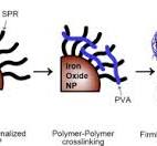 Improvement in the dispersion stability of iron oxide ...