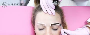 I prefer to get something in the ashes family when doing brows because ashes combat warmth and keep your brows from going too golden/red. Dye Your Brows With Eyebrow Henna Henna Brows Marie Jose Co
