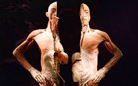 A film adaptation won the grand prize at the seattle science fiction museum's 2006 film festival. They Re Made Out Of Meat Futurism