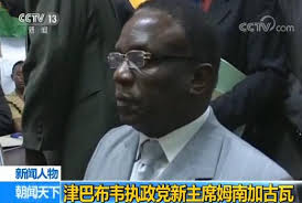 Image result for 姆南加古瓦