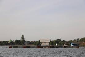 Penternakan ikan air tawar sangat lumayan. Peternakan Ikan Air Tawar Picture Of Lake Ranu Grati Pasuruan Tripadvisor