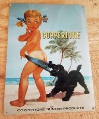 Image result for Light Coppertone 1964 Amana