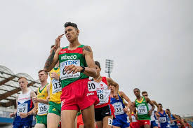 Le mieux c'est entre 6,5 et 8 km/h et. Il Faut Absolument Qu On Parle De La Marche Rapide