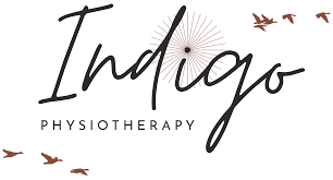 About Indigo Physical Therapy Clinic