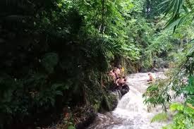 Dari segi guru pakem adalah pembelajaran yang aktif bahwa seorang guru harus memantau kegiatan belajar peserta didik, memberi umpan balik, mengajukan pertanyaan kepada peserta didik. Mengenal Kegiatan Susur Sungai Tujuan Manfaat Dan Persiapannya Halaman All Kompas Com