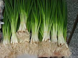 Jun 19, 2021 · daun bawang bahkan bisa ditanam di dalam dan luar ruangan. Cara Menanam Daun Bawang Secara Hidroponik Bibitbunga Com