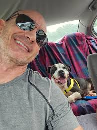 Looking for griffon breeder in Toronto?