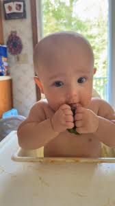Green eggs with spinach for St. Patrick's Day