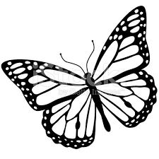 Black And White Stencil Butterfly Outline A Vector Illustration Of A Monarch Butterfly In Black And White An Monarch Butterfly Tattoo Monarch Butterfly Monarch Butterfly Images