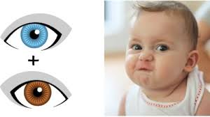 Augenfarbe Beim Baby Vorhersagen Kann Man Sie Berechnen 9monate De