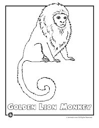 They crawl, swim, climb, and fly and are. Rainforest Animals Coloring Pages Free Coloring Home