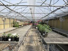 Other lawn & garden service · closed. Ole S Nursery Landscaping Moorhead Mn Greenhouses And Nurseries On Waymarking Com