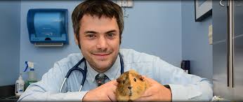 All vets must be registered with the royal college of veterinary surgeons (rcvs). Exotic Pet Care Bird And Reptile Vet Pocket Pet Vet