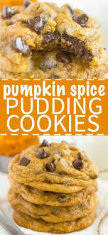 Pumpkin Spice Pudding Cookies What Molly Made Recipe Pumpkin Spice Pumpkin Dessert Pumpkin Recipes