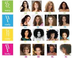 Find Your Curly Type I M A 2b 2c 3a Combo Curly Hair Don T Hair Type Chart Curly Hair Types Hair Chart