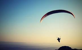 Image result for Freedom