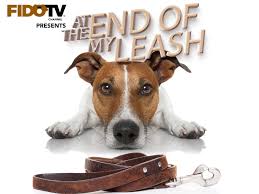 Puppy.the first two seasons consist of 26 episodes and the third season consists of 8 episodes, for a total of 60 episodes. Watch At The End Of My Leash Prime Video