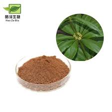 Image result for Fadogia