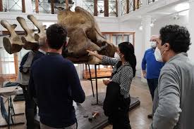 Además cuenta con una colección entomológica que es la más grande de. Il Museo Di Zoologia Di Catania Cambia Look Inaugurazione Nel 2021 Liveunict