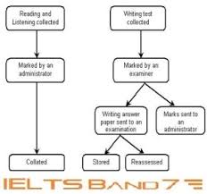 Writing Task One Processes Ielts Band7