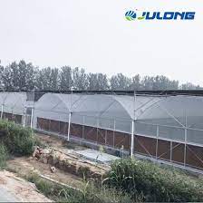 Agricultural Aquaponic Strawberry Multi Span Film Green House Farm For Sale China Greenhouse Multi Span Greenhouse Made In China Com