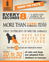 Hendrick Boards Animal Shelter Spay Neuter